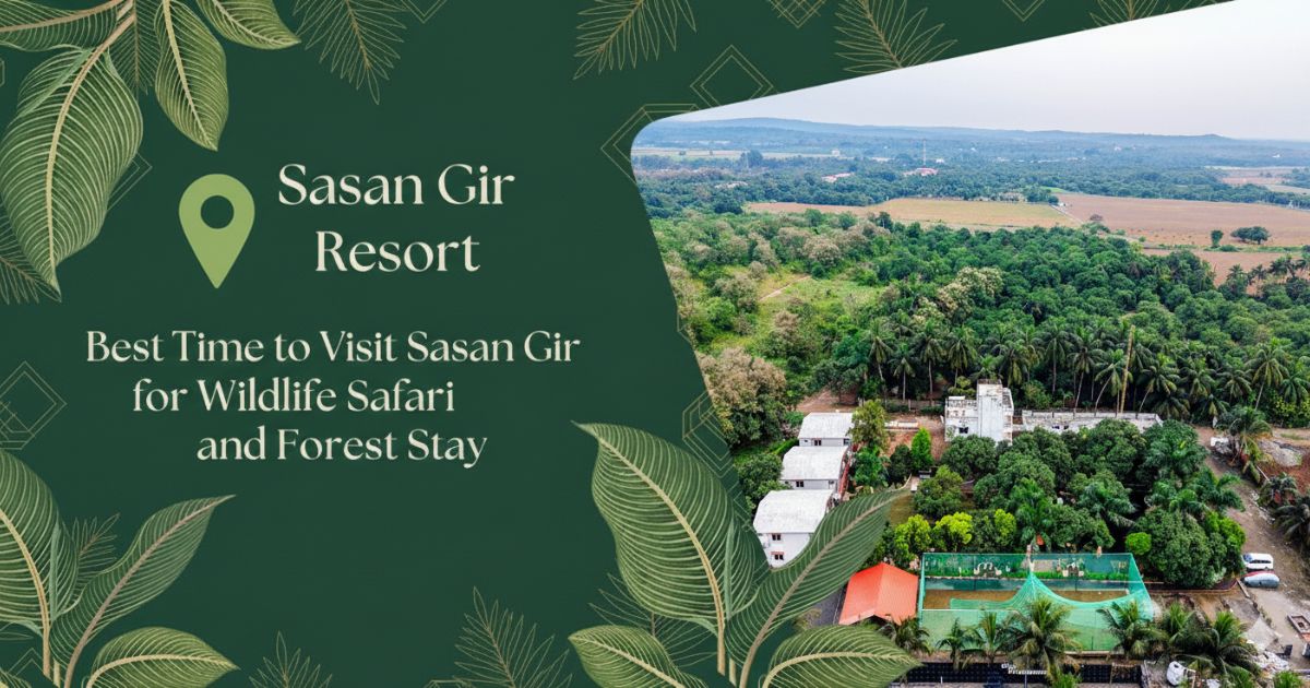 Best time to visit Sasan Gir showcasing forest views, wildlife safari surroundings, and serene resort stay experience