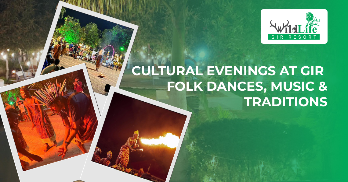 Cultural Evenings at Gir: Folk Dances, Music & Traditions