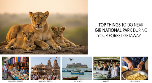 Top Things to Do Near Gir National Park During Your Forest Getaway