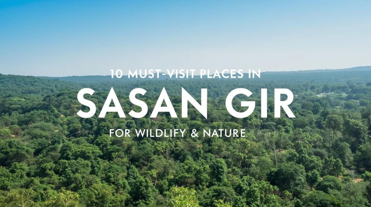 Aerial forest view showcasing wildlife attractions near Sasan Gir Resort for nature and safari lovers