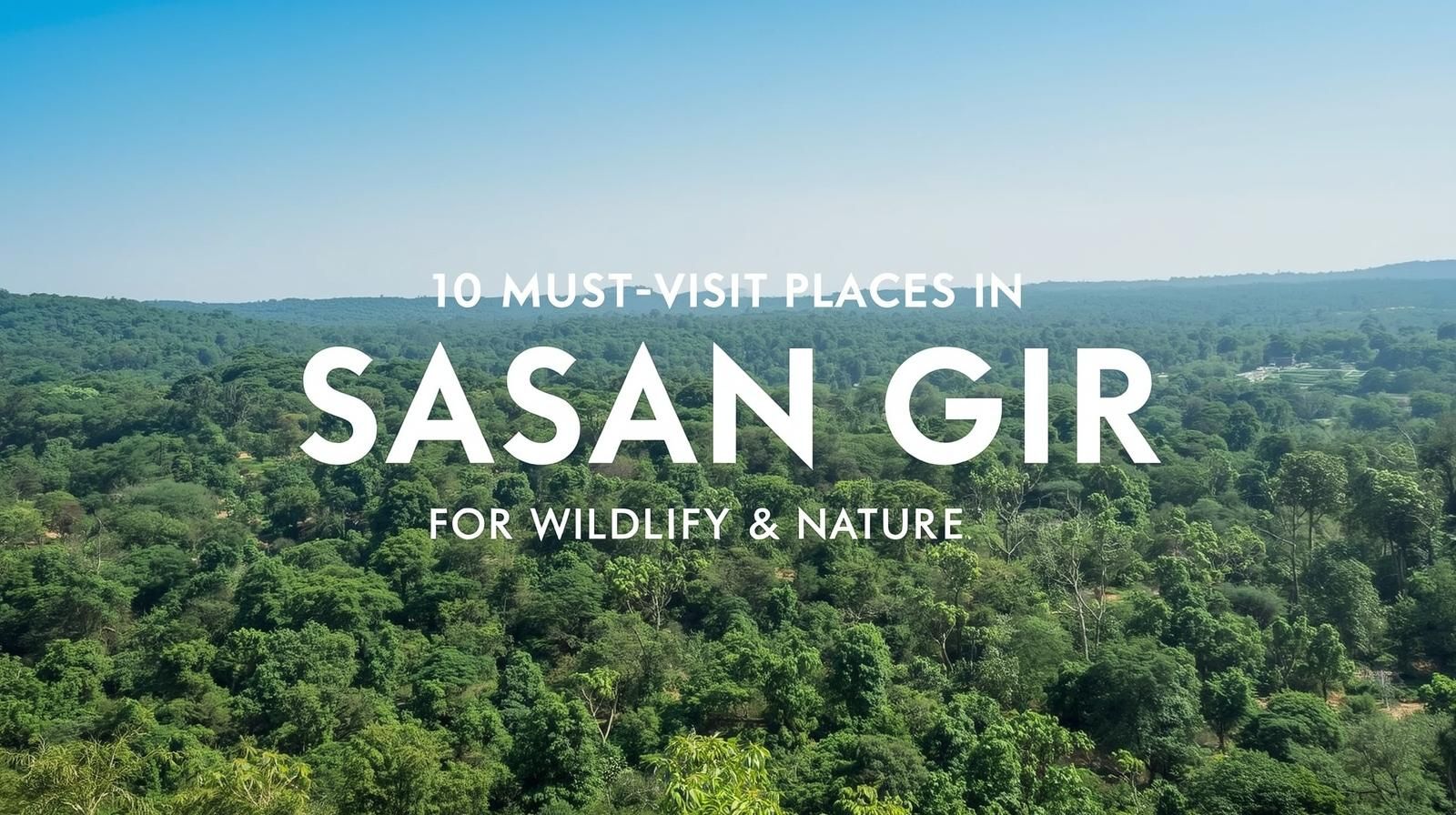 Aerial forest view showcasing wildlife attractions near Sasan Gir Resort for nature and safari lovers