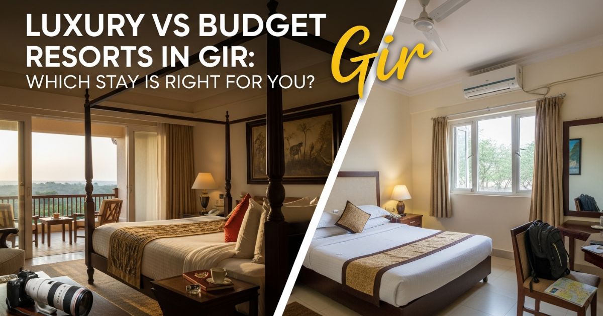 Luxury vs budget resorts in Gir showing differences in comfort, amenities, pricing, and overall stay experience
