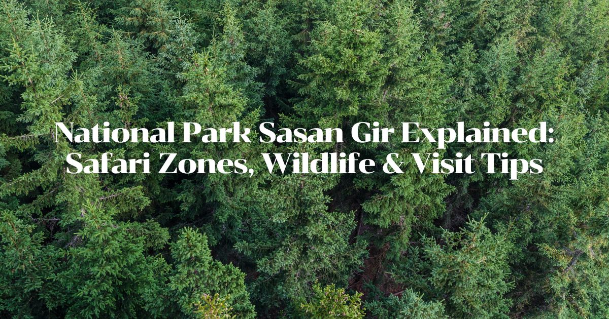 Dense forest landscape of National Park Sasan Gir showcasing wildlife safari region in Gujarat.