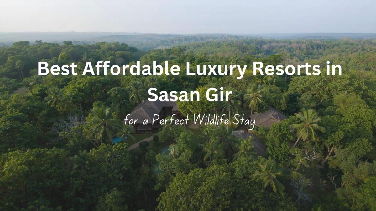 Luxury forest resort in Sasan Gir surrounded by nature, ideal wildlife stay near Gir National Park.