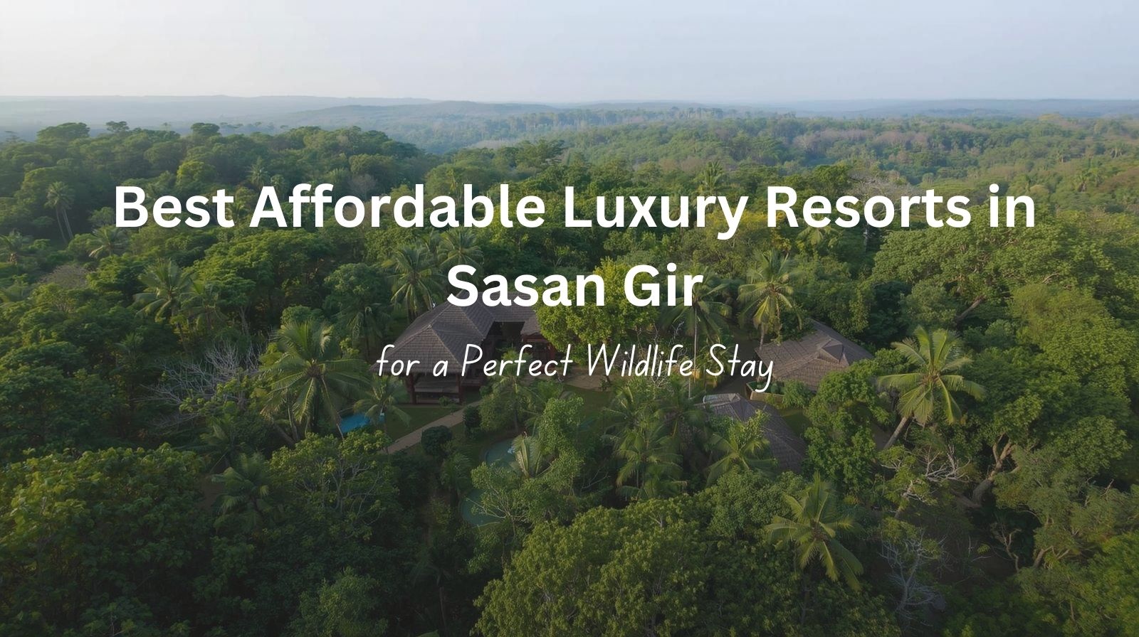 Luxury forest resort in Sasan Gir surrounded by nature, ideal wildlife stay near Gir National Park.