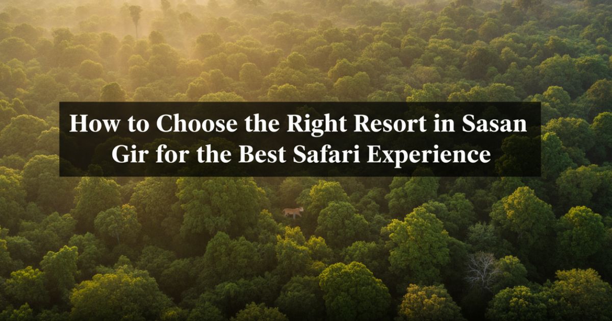 Aerial forest view representing resort in Sasan Gir with safari experience and nature stay concept