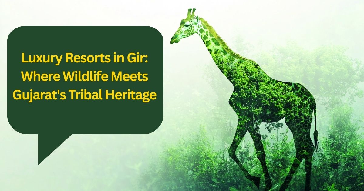 Luxury resort experience in Gir with wildlife theme and Gujarat tribal heritage surroundings