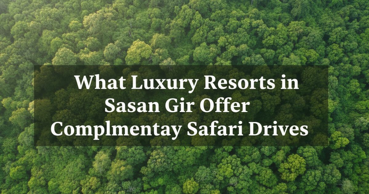 Aerial forest view highlighting luxury resorts in Sasan Gir with safari and wildlife experience