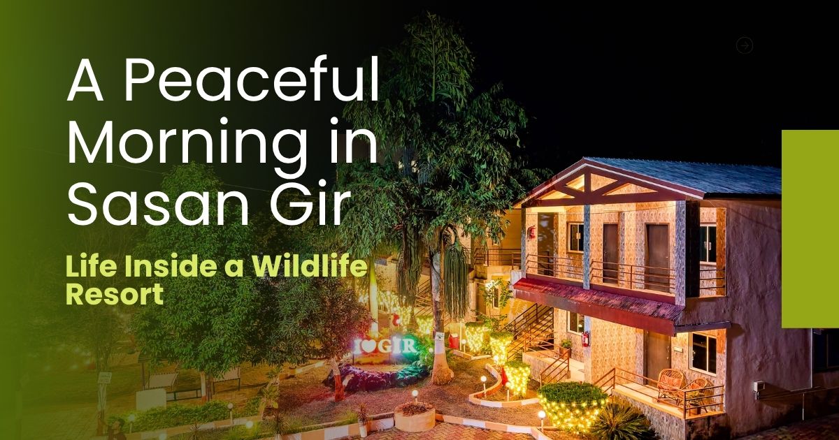 A Peaceful Morning in Sasan Gir: Life Inside a Wildlife Resort