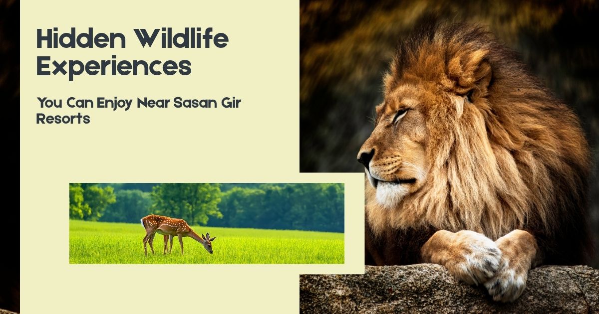 Hidden Wildlife Experiences You Can Enjoy Near Sasan Gir Resorts