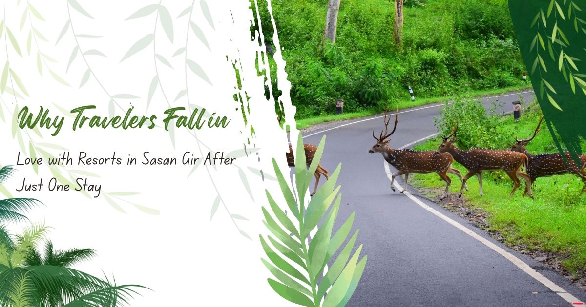 Why Travelers Fall in Love with Resorts in Sasan Gir After Just One Stay