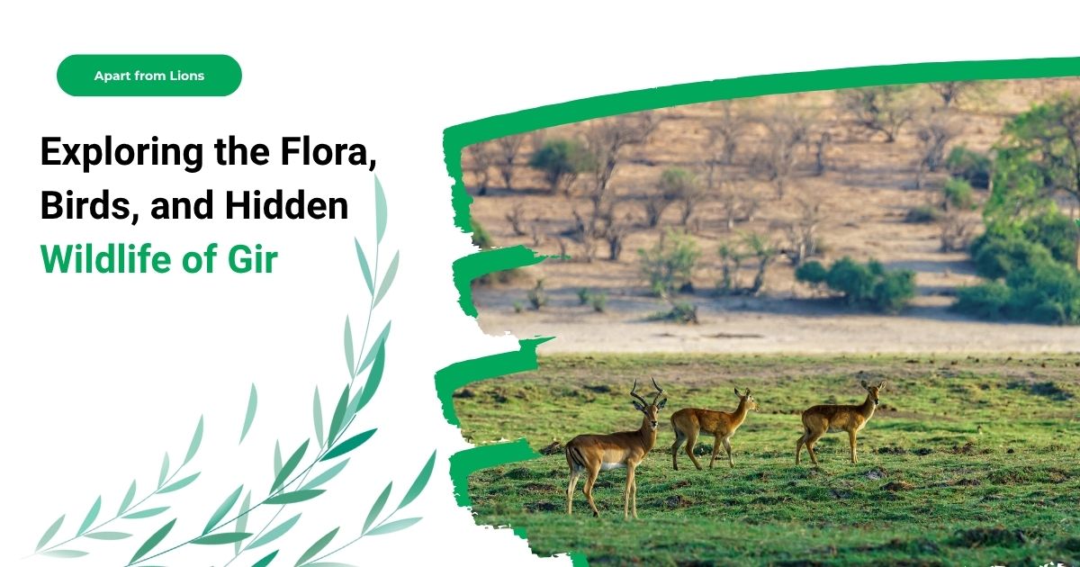 Apart from Lions: Exploring the Flora, Birds, and Hidden Wildlife of Gir