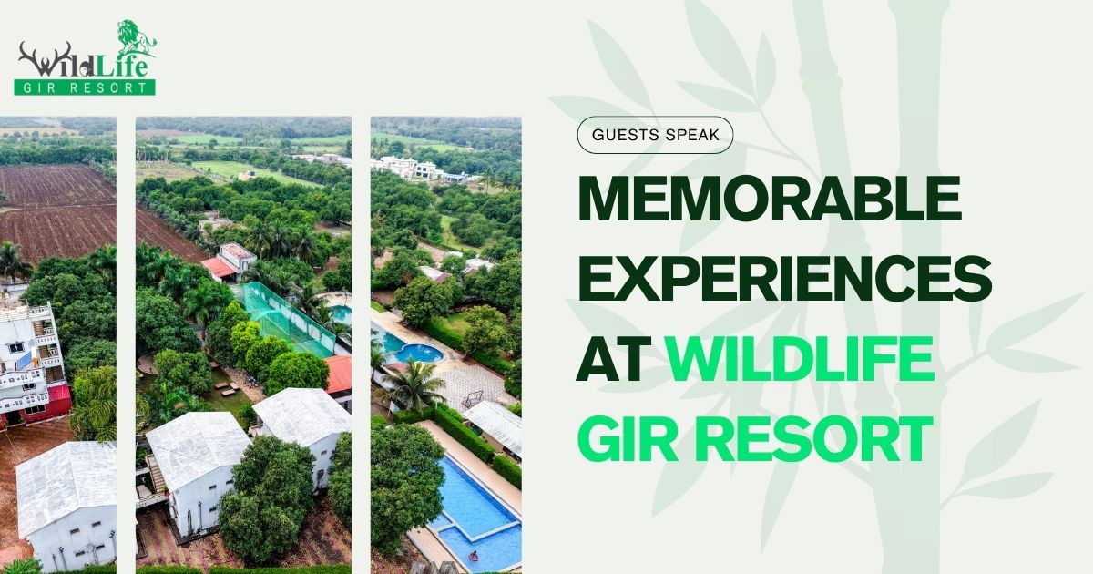Guests Speak: Memorable Experiences at Wildlife Gir Resort