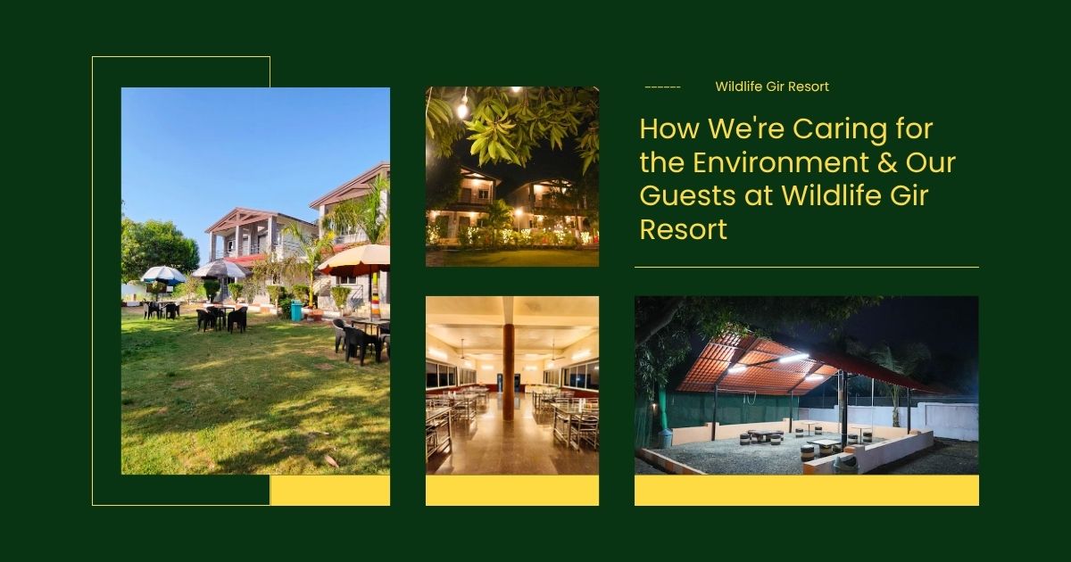 How We're Caring for the Environment & Our Guests at Wildlife Gir Resort
