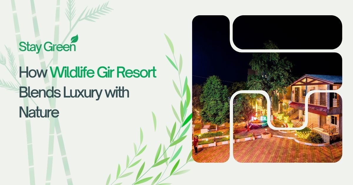 Stay Green: How Wildlife Gir Resort Blends Luxury with Nature