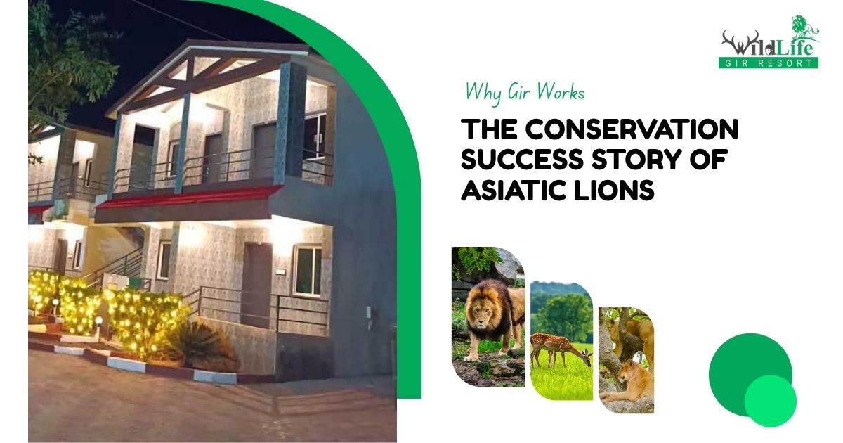 Why Gir Works: The Conservation Success Story of Asiatic Lions