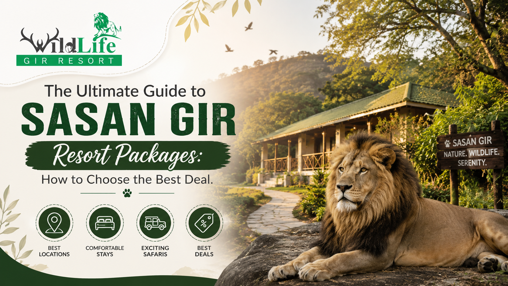 The Ultimate Guide to Sasan Gir Resort Packages: How to Choose the Best Deal