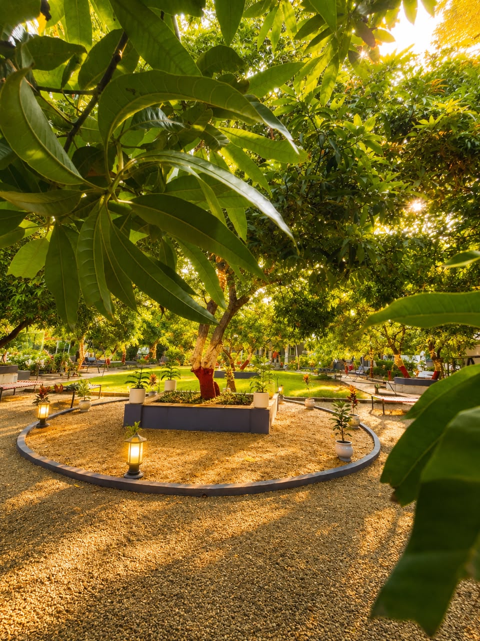 Garden view at Wildlife Gir Resort