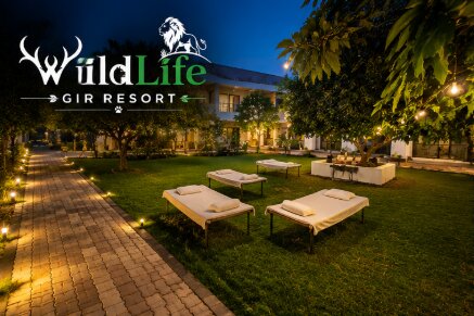 Eco Luxury Gir